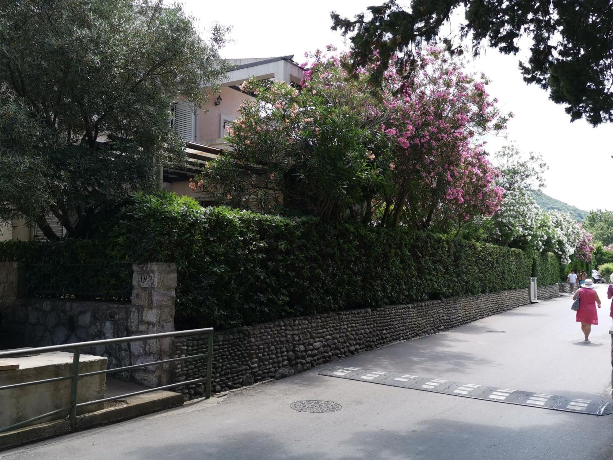 Apartments Maris Garden Petrovazzo Esterno foto